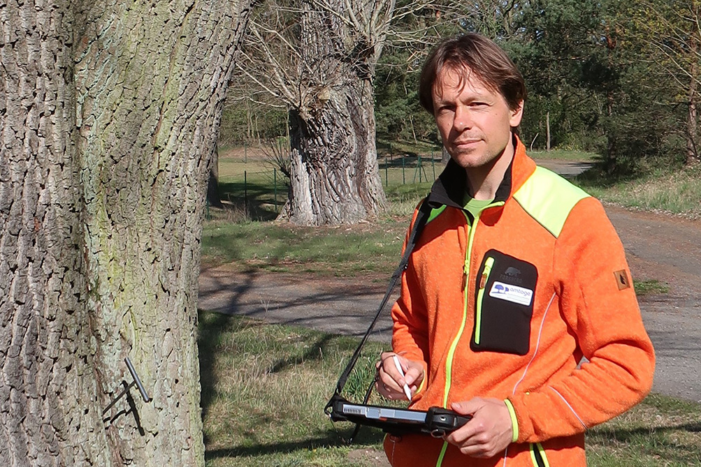 Stephan Süß Garten- und Landschaftspflege